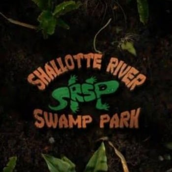The Swamp Park